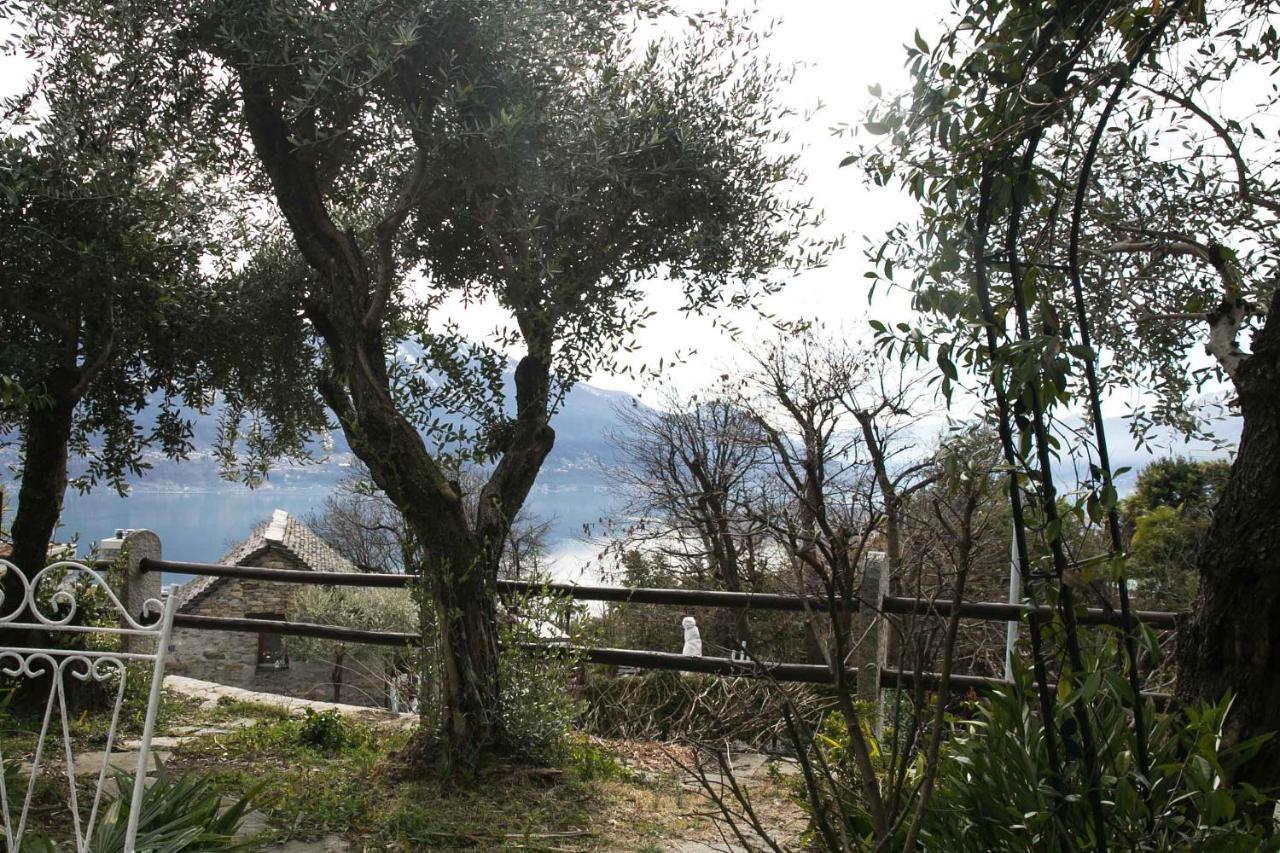 Apartament Casa Alma Grotto Brione sopra Minusio Zewnętrze zdjęcie